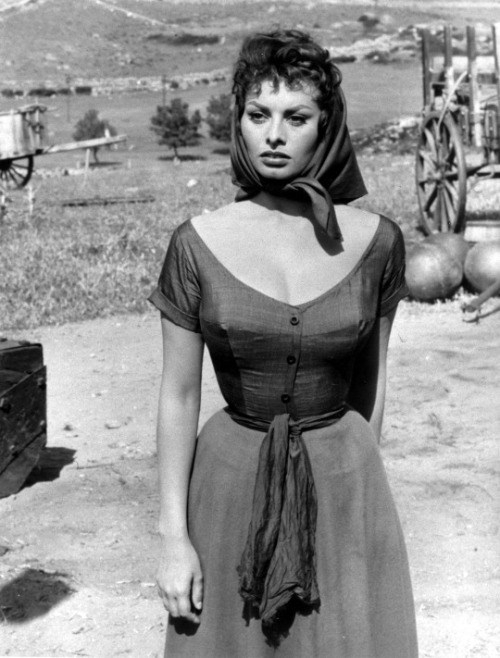honey–rider:
“Sophia Loren
”