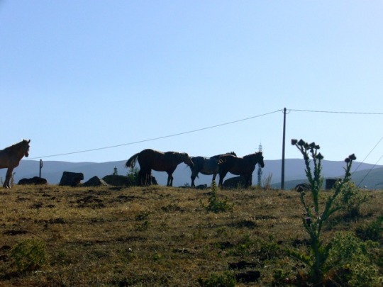 proverbios y refranes en inglés