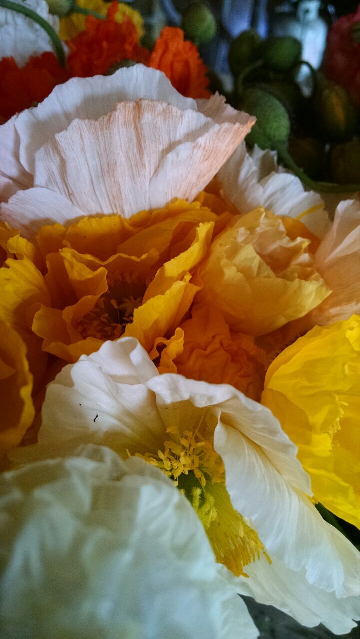 tumblr photo