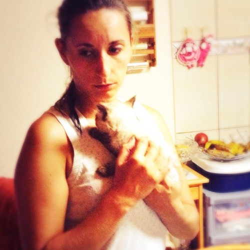 <p>#prima #cousin #siamesekitten #theazores #motherdaughterroadtrip</p>
