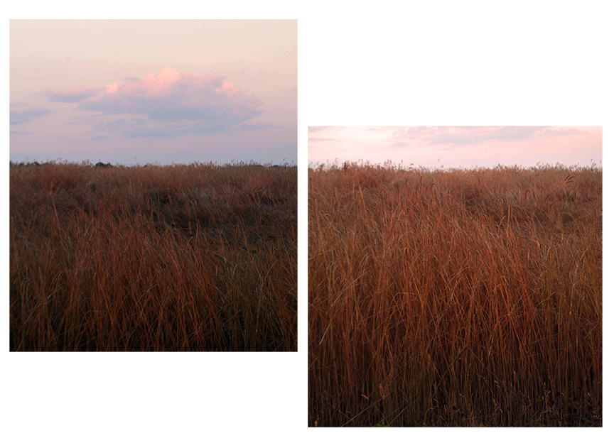 years-of-indiscretion:
“ Approaching Last Light ~ Groton MA ~ 22 July 2016 ”