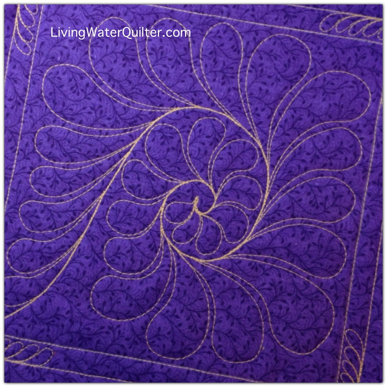 Free-Motion Quilting Curled Feather Feathers are...