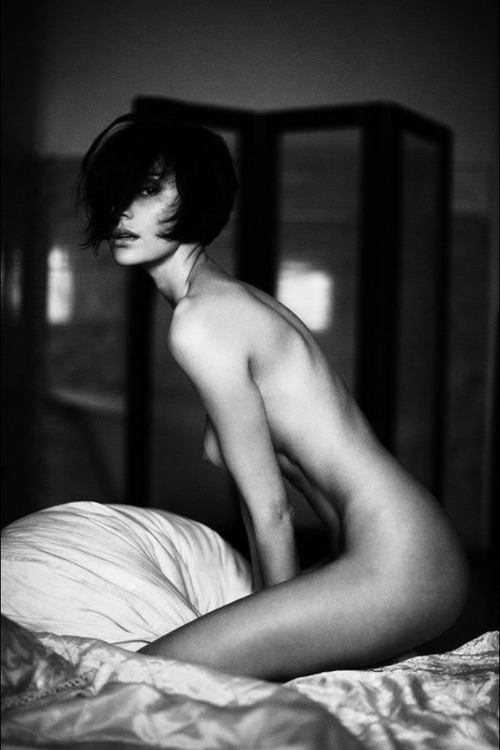 shorthairchicks:

black and white