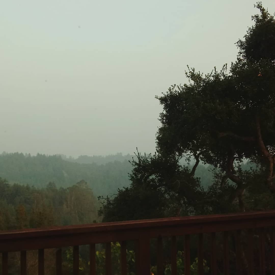 <p>It’s a hot sunny day. Not a cloud in the sky. 🌞 Just a thick blanket of ash and soot. #asthmalife #paranoid #youwouldbetoo</p>