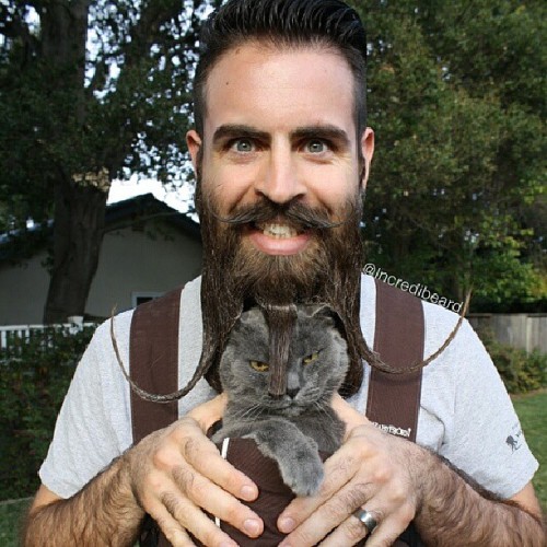 Beard Design Ideas men beard styles Incredibeard Styles Beard Design Ideas manly beard styles Incredibeard Styles