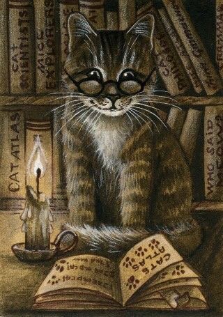 Cat by candlelight 🕯
by Irina Garmashova