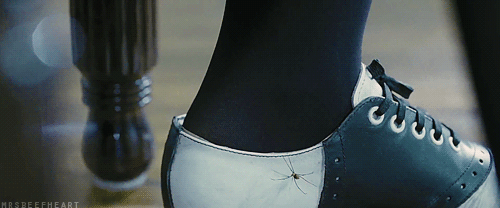 http://66.media.tumblr.com/127ebdded4d6a5944cff5a7e83a65d77/tumblr_mhtn1oHUpN1s1x70vo1_500.gif