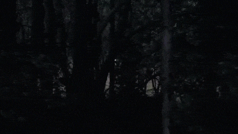 Couple Captures Video of a Sasquatch in California.While staying at a cabin in Truckee, California, a couple captured footage of what they believe shows a Sasquatch. According to the couple, the incident occurred in July of 2013.
In the video, a...