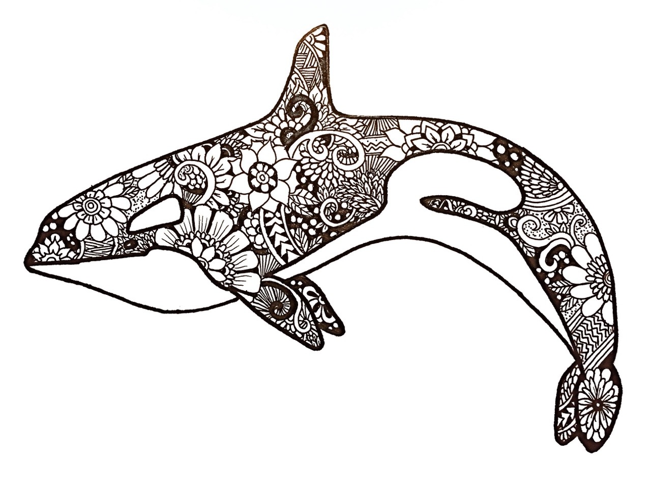 orca zentangle animals orca zentangle animals