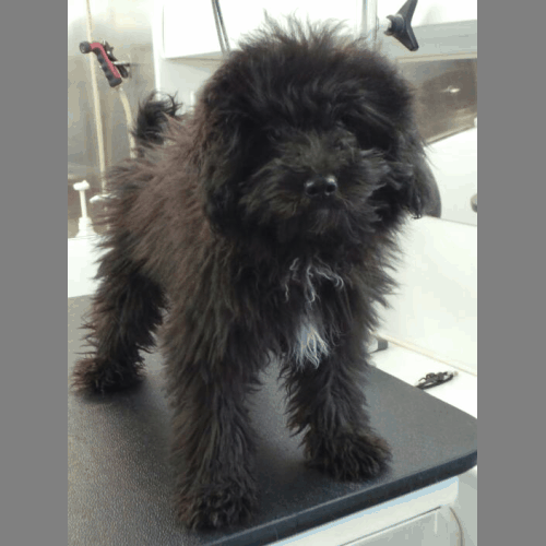 <p>Bears first spaw day</p>