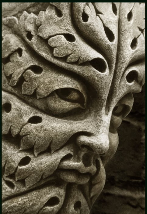 kutxx:
“2.
“Green Man” ( Early Gothic period)
13th century, Bamberg Cathedral, Germany
”