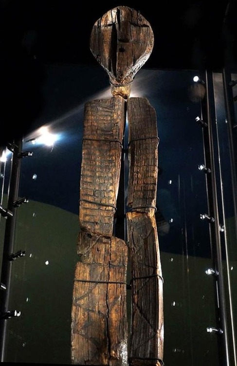 unexplained-events:
“This 9500 year old wooden Shigir Idol was found within the Ural Mountains. This is the oldest piece of timber art known to exist. It is 2x as old as the Egyptian Pyramids and Stonehenge.
The Idol has mysterious etchings which...