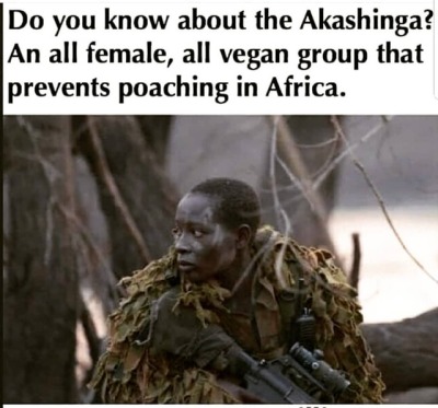 <p>You Come for Our Land, Our Animals, Our Minerals Huh ??? Well Better Watchout For These Beautiful Fierce Black Women, Cause They will Kill You !</p>
<p>#blackpeople #picoftheday #kardashian #therealremyredd #BlackHistory #StephCurry #Lebron #Nas #Beyonce #nickiminaj #justice #BlackPower #getthestrap #BlackPeople #beingblackinamerica #blackhistory #pic #shaderoom #2pac #black #blackpanther #blackpanterparty #newyork #blackfamily #brooklyn #resist #blackpower #california #dc #blacklivesmatter #hueypnewton #marcusgarvey #georgia<br/>
<a href="https://www.instagram.com/p/BrQZGBagFko/?utm_source=ig_tumblr_share&igshid=1shb2pt13mzt1" target="_blank">https://www.instagram.com/p/BrQZGBagFko/?utm_source=ig_tumblr_share&igshid=1shb2pt13mzt1</a></p>