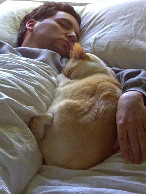 mistymorrning:
“cat napping…
”
