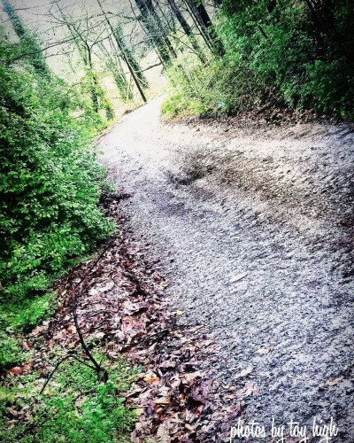 tumblr photo