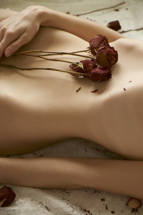 brookelynne:

delicate sensibilities | self-portraits
•✧{ 400+...