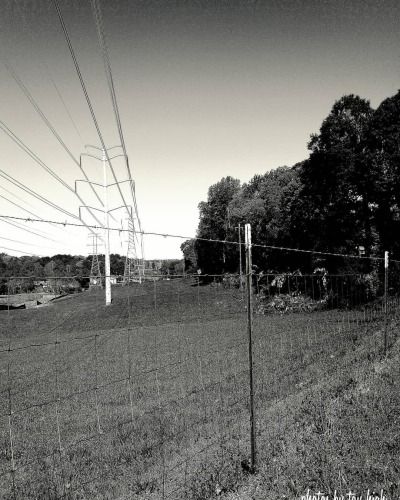tumblr photo