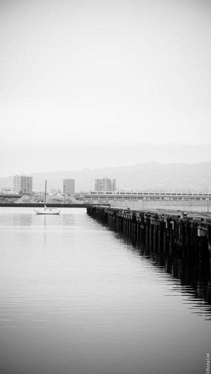 tumblr photo