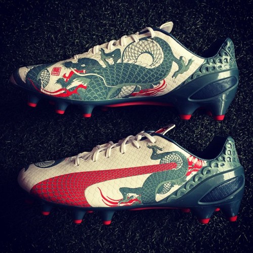 Puma Evospeed Dragon Puma Evospeed Dragon