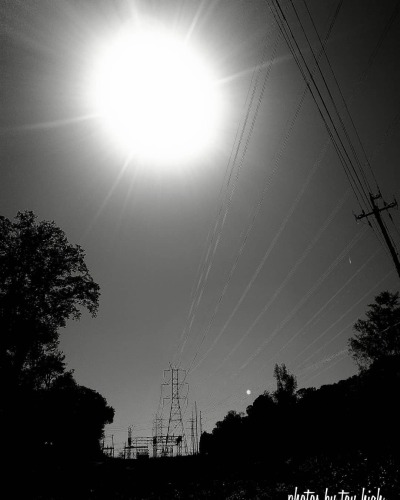 tumblr photo