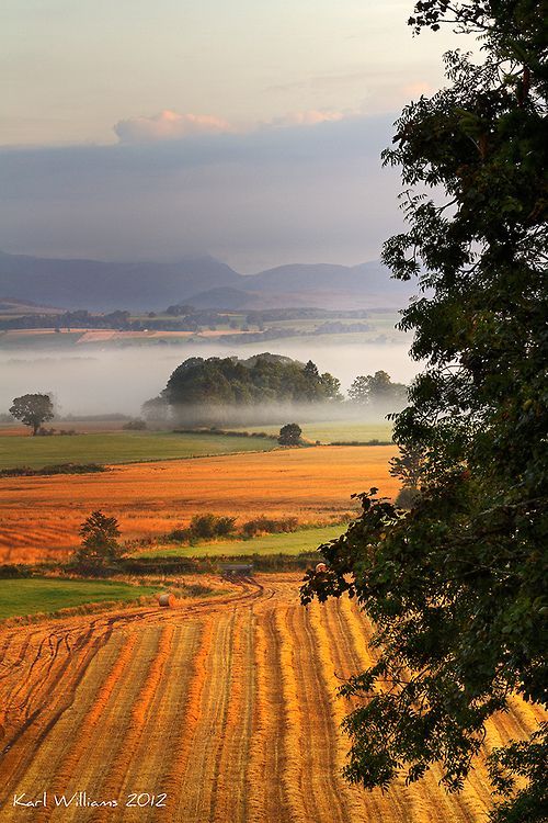 Stirlingshire, Scotland
by Karl Williams