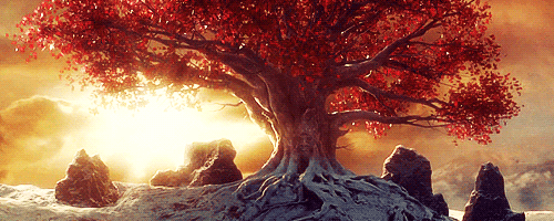 Ancien vote - Page 24 Tumblr_n79yk5NOWA1s1dd4do5_500