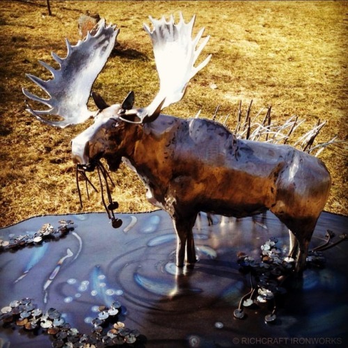 <p>I know, I know, it’s only February. Still I can’t wait for spring, so I can get back to Algonquin Provincial Park to see one of these majestic beasts. <br/>
.<br/>
.<br/>
.<br/>
#nature #welding #welder #richbaker #sculptor #contemporaryart #sculpture #fineart #creative #artgallery #instaart #arte #artistsofinsteagram #contemporary #concept #artcollector #metal #contemporaryartist #artistlife #wilderness #artist #wildlifeartist #art #metalart #algonquin #moose <br/>
<a href="https://www.instagram.com/p/Bt_G1qVgcci/?utm_source=ig_tumblr_share&igshid=uf208nx5v1e7">https://www.instagram.com/p/Bt_G1qVgcci/?utm_source=ig_tumblr_share&igshid=uf208nx5v1e7</a></p>