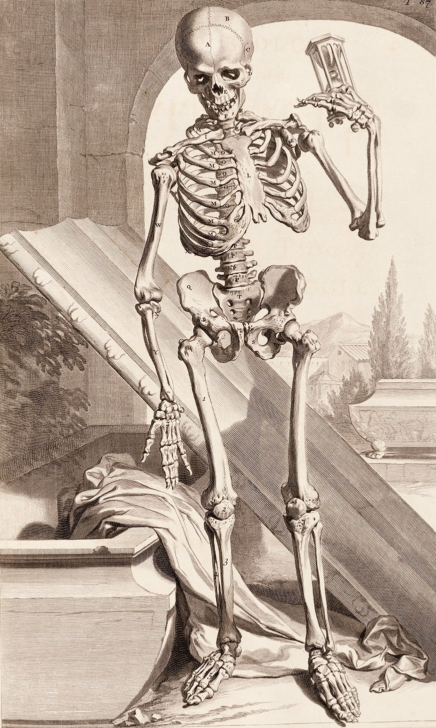 Anatomia Humani Corporis, 1685/90