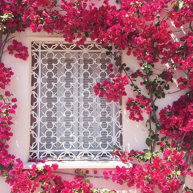 اسباب البركه في البيوت Tumblr_o0s8siCQXN1ta87olo1_1280
