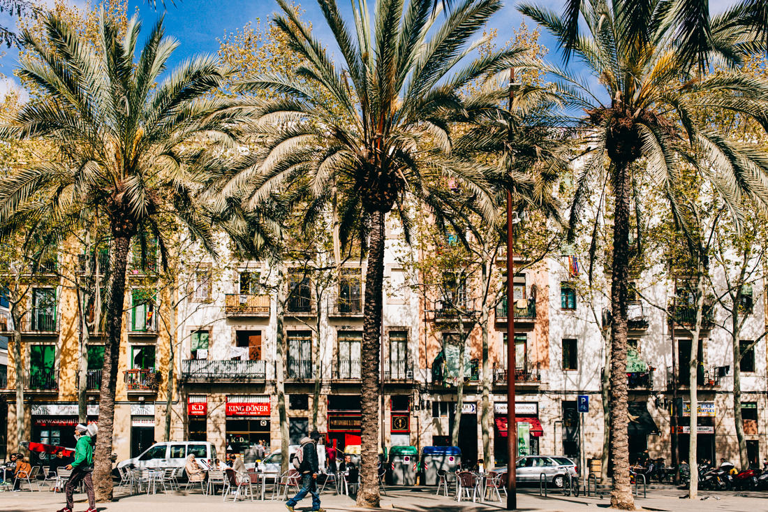 tumblr support Spain Barcelona, Streets  Rambla  â€” del All Raval