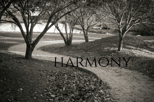 tumblr photo