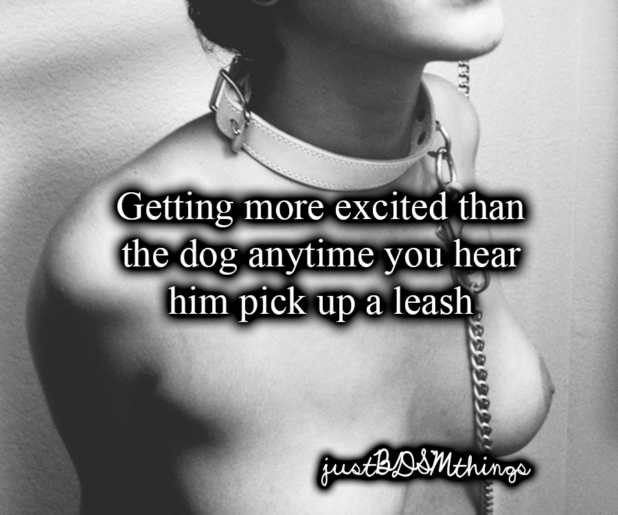 just bdsm just bdsm