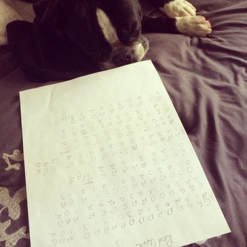<p>#sirwinstoncup is learning Red Apple Rag from tab today. What are you doing? #fiddle #bostonterriers #bostonterriercult (at Nashville Songwriter Camp)</p>