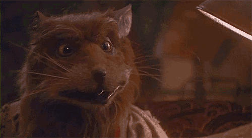 tumblr_mett4zPm2V1r94e9jo1_500.gif