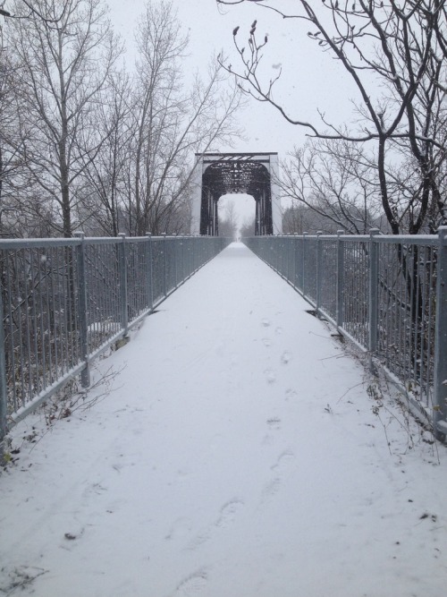 tumblr photo