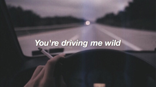 driving me wild