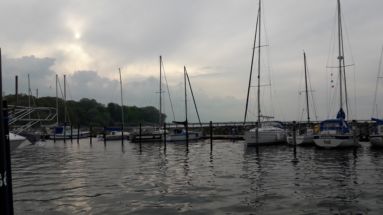 tumblr photo