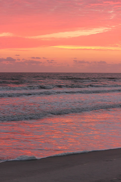 tumblr photo