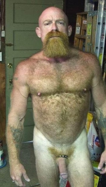 gay hairy chested hot hunks from Legend beefy daddy gay sugar