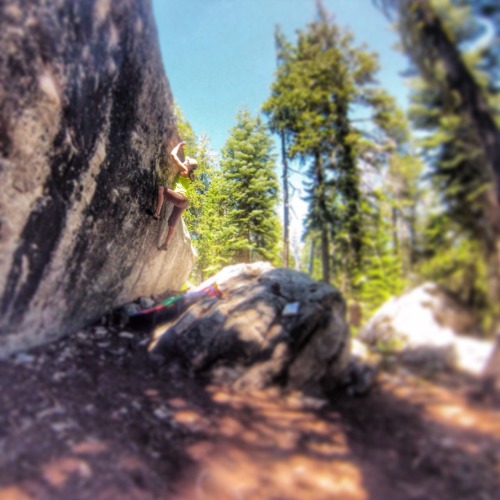 www.boulderingonline.pl Rock climbing and bouldering pictures and news Boulders and sunshine