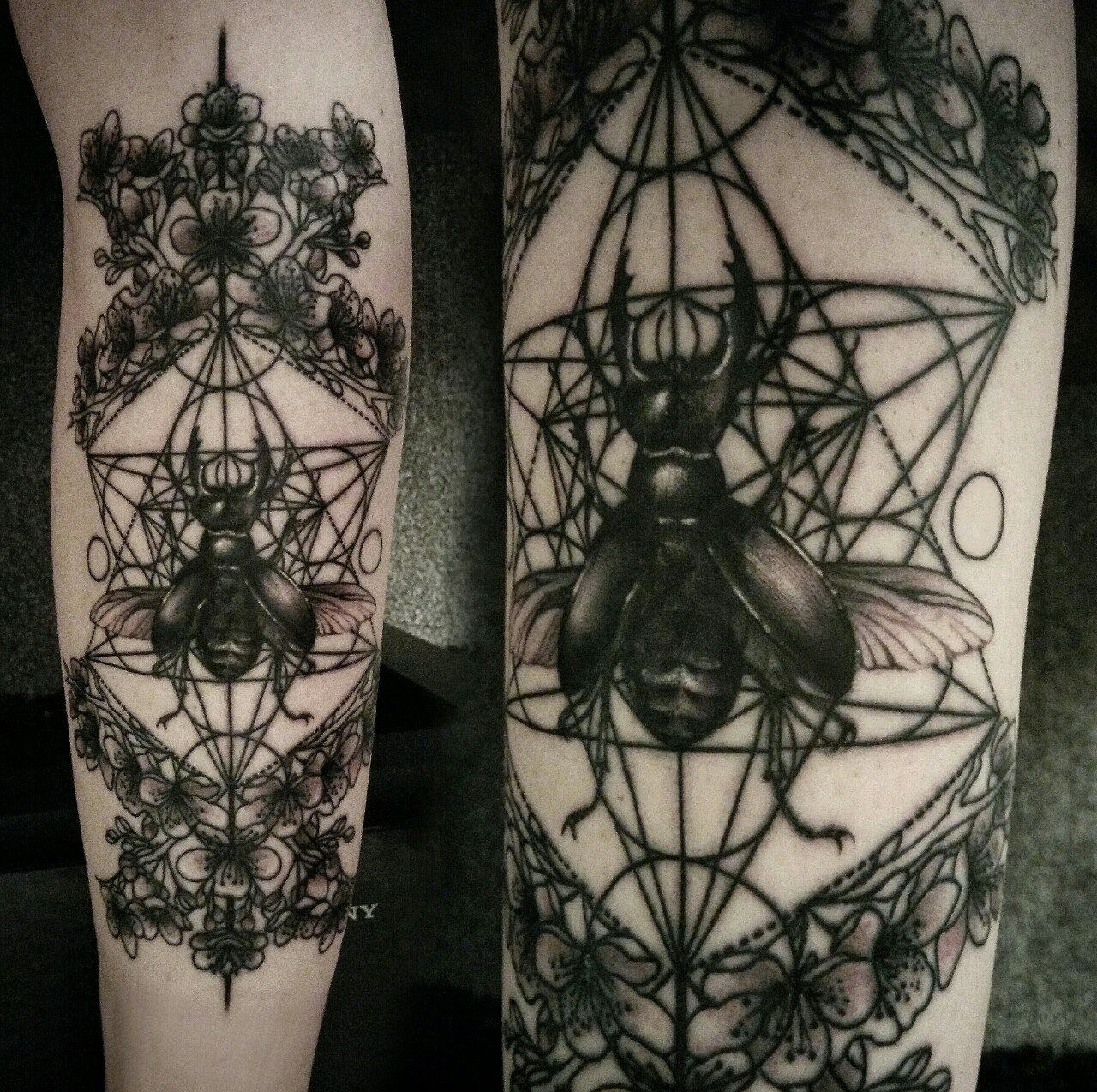 fyeahtattoos com tattoo by mim hennessy mann justaddink fyeahtattoos com tattoo by mim hennessy mann justaddink