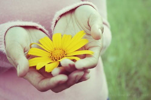 Resultado de imagem para menina flor tumblr