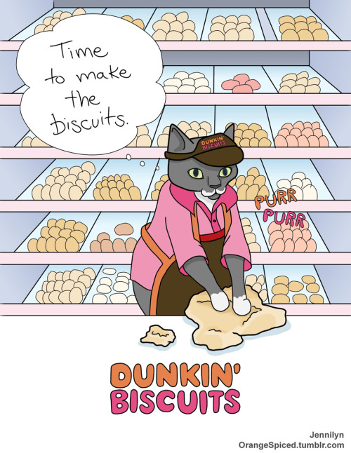 Image result for cat dunkin doughnuts