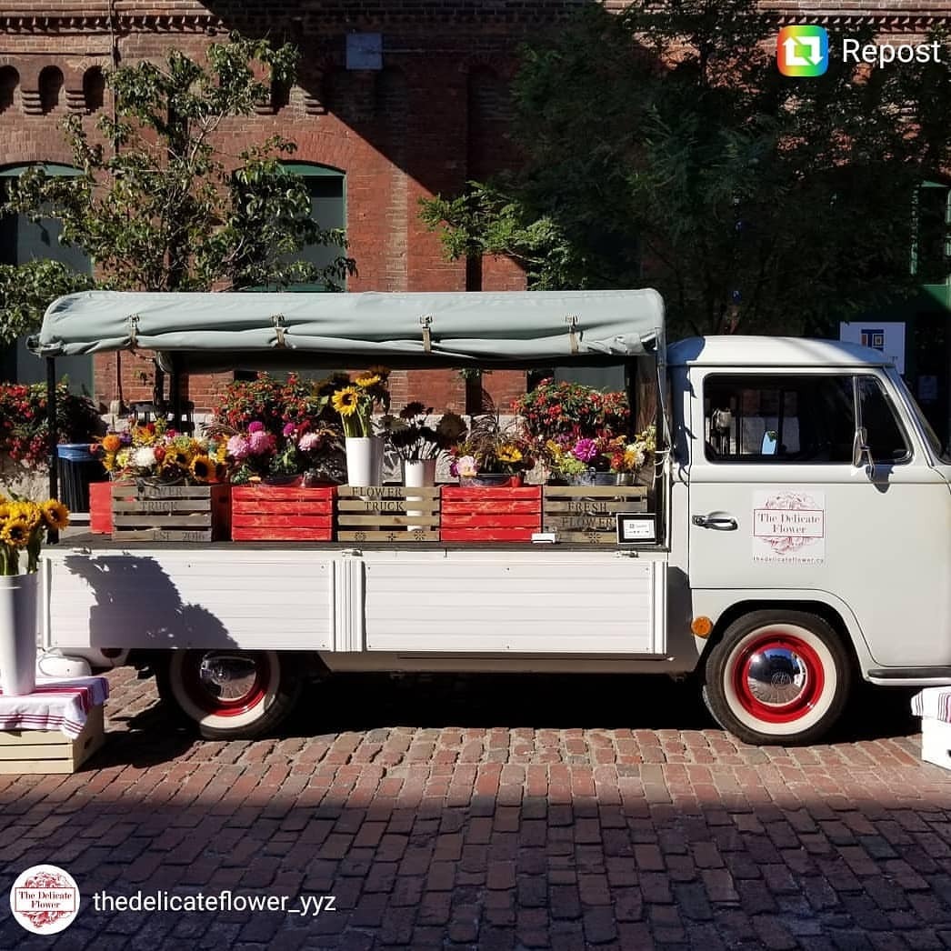<p>Check out our friends in East Toronto @thedelicateflower_yyz - they are amazing for floral arrangements for weddings, photo shoots, product launches, corporate events etc.</p>
<p>Give them a follow to see the adventures of Posy the 1968 VW Transporter - such a cool ride for the business! (at Toronto, Ontario)<br/>
<a href="https://www.instagram.com/barnboardstore/p/BvmK0SEBAAX/?utm_source=ig_tumblr_share&igshid=greeb9391kbn">https://www.instagram.com/barnboardstore/p/BvmK0SEBAAX/?utm_source=ig_tumblr_share&igshid=greeb9391kbn</a></p>