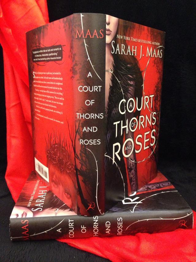 Znalezione obrazy dla zapytania A Court of Thorns and Roses