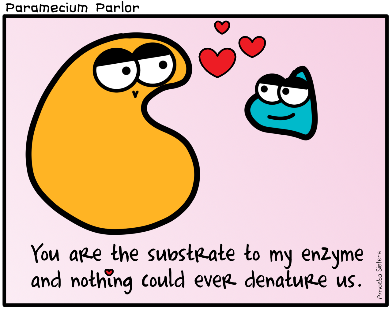 The Amoeba Sisters — Nothing says love like a substrate-enzyme complex....