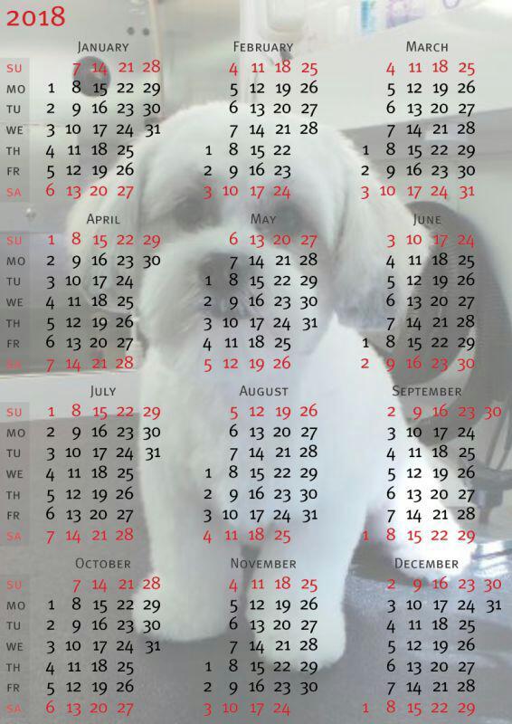 <p>Happy New Year!<br/>
Start out the new year with a fresh start. Book your pets next spaw day with Petagree Mobile Spaw</p>