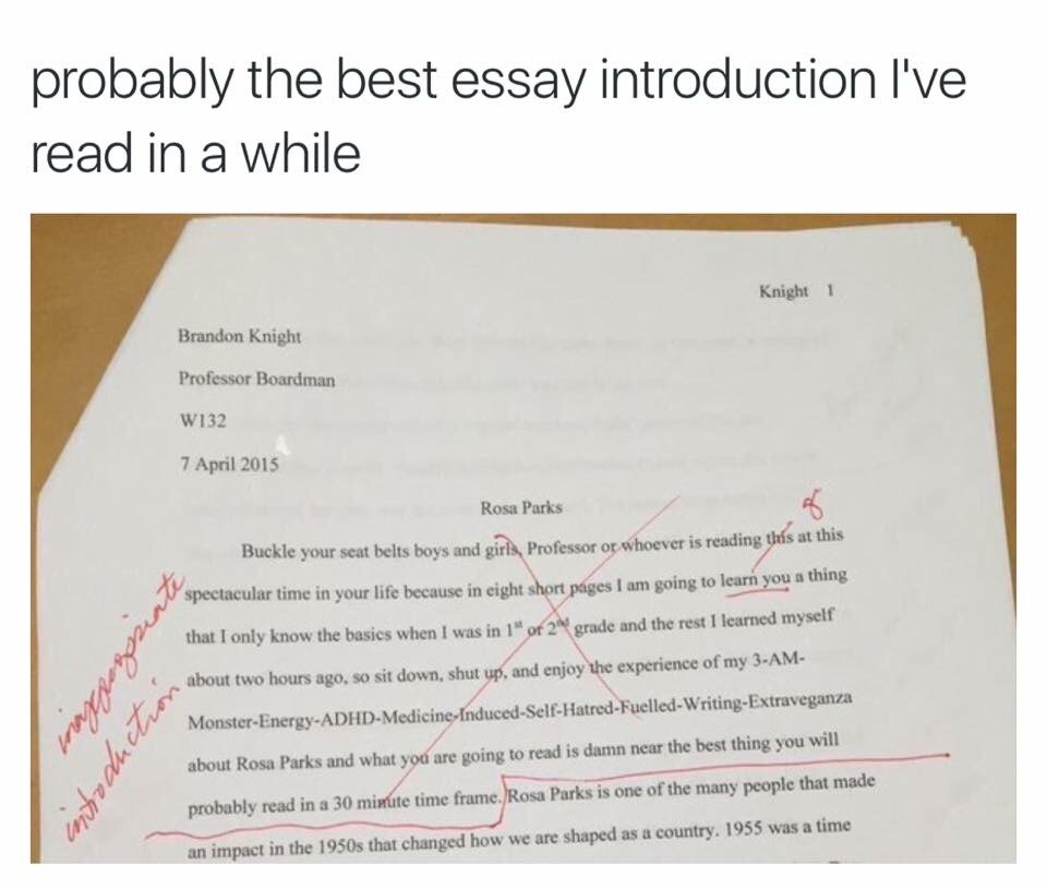 Animal Cruelty Essays The Best Essay Ever Written Gender Roles In Society Essay also Essay On My Summer Vacation For Kids The Best Essay Ever Written College Paper Help Zxtermpaperpzze Reflective Essay English Class