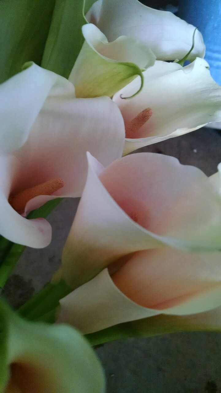 tumblr photo