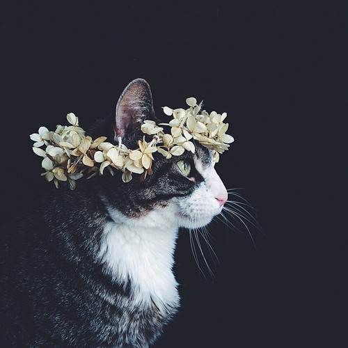 Znalezione obrazy dla zapytania tumblr